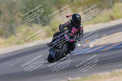 media/Nov-11-2023-SoCal Trackdays (Sat) [[efd63766ff]]/Turn 2 Set 2 (1145am)/